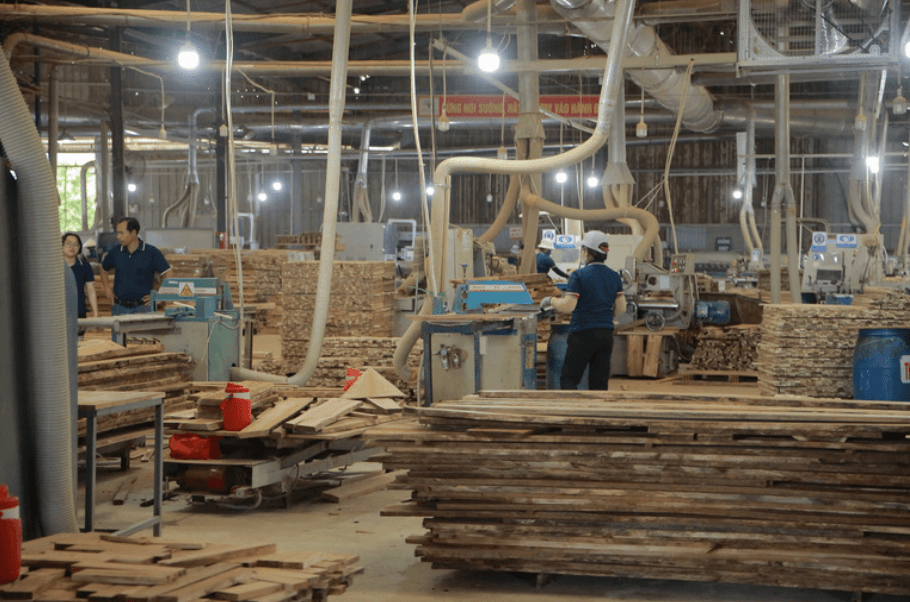 Primary timber processing and sawing floor at DHT factory
