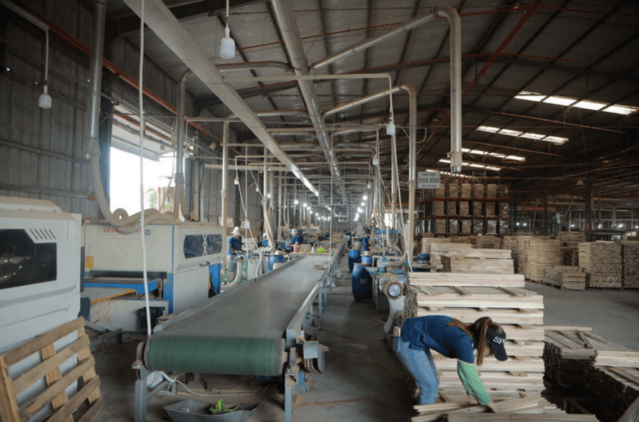 In-line finishing and transfer conveyor system at DHT factory